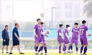 Hai vấn đề khiến đội tuyển Việt Nam có nguy cơ không được đá sân nhà