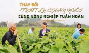 Thay đổi ‘triết lý’ chăn nuôi cùng nông nghiệp tuần hoàn