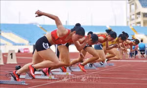 Hành trình đến SEA Games 31: Kích hoạt hệ thống xét nghiệm kiểm tra doping