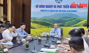 Ngành Nông nghiệp triển khai các giải pháp khắc phục sản xuất sau cơn bão số 3