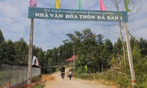 Niềm vui đắt giá từ việc hiến 'đất vàng'