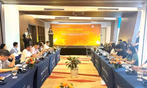 Thí điểm dự án phòng chống bệnh dại và hỗ trợ chuyển đổi kinh doanh thịt chó mèo