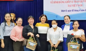 Triển khai dự án 33 tỷ đồng hỗ trợ phục hồi cho phụ nữ có nguy cơ bị bạo lực