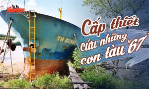 Tin tức TV: Cấp thiết cứu những con tàu '67'