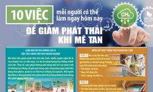 10 việc mỗi người có thể làm ngay hôm nay để giảm phát thải khí mê tan
