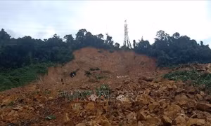 Sạt lở đất là nguyên nhân gây thiệt hại về người lớn nhất trong năm 2020