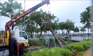 Cẩn trọng sử dụng điện trong mùa mưa bão