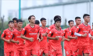Tuyển U22 và đội tuyển quốc gia tập trung đúng kế hoạch