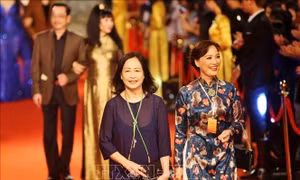 Tổ chức Liên hoan phim Quốc tế Hà Nội trong quý IV năm 2022