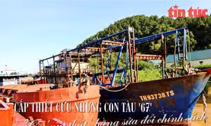 Cấp thiết cứu những con tàu '67'- Bài cuối: Gỡ 'nút thắt' bằng sửa đổi chính sách