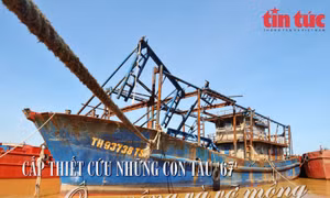 Cấp thiết cứu những con tàu '67' - Bài 1: Ôm mộng và vỡ mộng