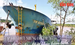 Cấp thiết cứu những con tàu '67'- Bài 3: Ngư dân khát khao bám biển