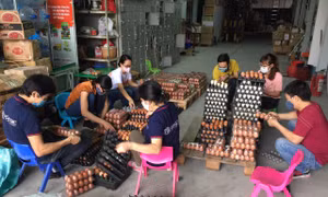 Hỗ trợ nhà nông 'giải cứu' nông sản 'rẻ như cho’