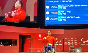 Toàn bộ lịch thi đấu của đoàn Thể thao Việt Nam tại Paralympic 2024