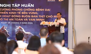 Hà Nội tăng cường công tác phòng, chống bệnh dại