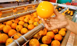 Công nghệ xây dựng nông thôn mới thông minh