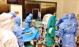 Đồng Nai: Tuổi trung bình của các bệnh nhân tử vong do COVID-19 có xu hướng dần tăng cao