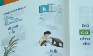 Bộ GD-ĐT: Tài liệu Tiếng Việt lớp 1 dạy đọc theo ô vuông, tam giác là một phương án lựa chọn