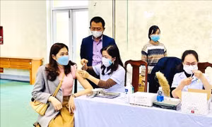 Ngày 13/2, Việt Nam có 26.379 ca mắc mới COVID-19