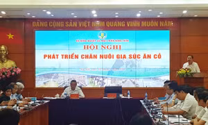 Đẩy mạnh phát triển các loài gia súc ăn cỏ để phù hợp thực tiễn Việt Nam