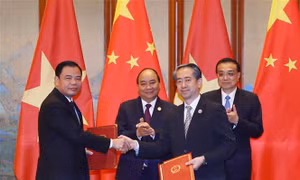 Sữa Việt Nam xuất khẩu chính ngạch sang Trung Quốc