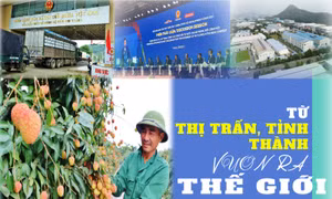 Từ thị trấn, tỉnh thành vươn ra thế giới
