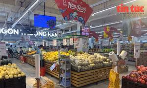 GDP 6 tháng đầu năm 2023 tăng 3,72%