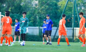 Vòng loại Asian Cup 2027: Đội tuyển Việt Nam rà soát lực lượng