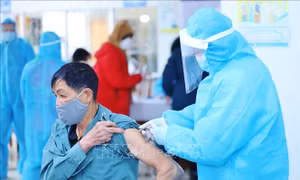 Ngày 24/2, Việt Nam có 69.128 ca mắc mới COVID-19; đợt dịch thứ tư đã có trên 3 triệu ca bệnh