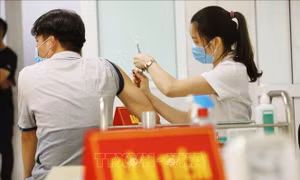 Hoàn thiện thử nghiệm lâm sàng giai đoạn 3 với ứng viên vaccine Nano Covax trong tháng 8