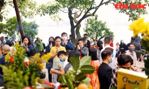 Phủ Tây Hồ đông nghịt khách mùng 1, nhiều người vẫn không ‘thích’ khẩu trang