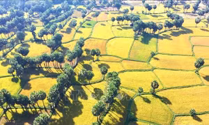 Xây những miền quê đáng sống
