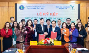 Thúc đẩy các biện pháp quản lý thuốc bảo vệ thực vật một cách bền vững