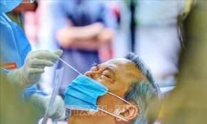 Ngày 30/8, Việt Nam có 14.224 ca mắc mới COVID-19; đã có 228.816 người khỏi bệnh