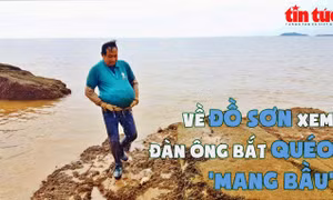 Về Đồ Sơn xem đàn ông bắt quéo ‘mang bầu’