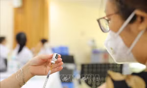 Ngày 29/7, có trên 1.800 ca F0 mới, ghi nhận 1 ca tử vong tại Quảng Ninh