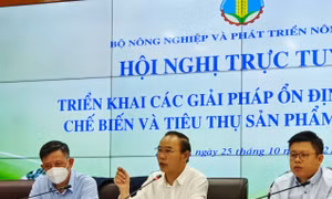 Ổn định sản xuất, chế biến và tiêu thụ sản phẩm chăn nuôi