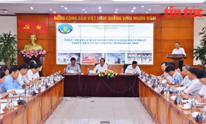 Giải pháp để chăn nuôi lợn phát triển ổn định và bền vững
