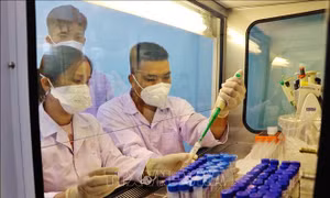 Đến tối 27/6, Việt Nam có 197 ca mắc mới COVID-19, riêng thành phố Hồ Chí Minh 95 ca