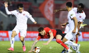 Lịch thi đấu V-League cùng các giải bóng đá chuyên nghiệp quốc gia 2024 - 2025
