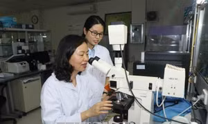 Nữ Tiến sĩ nỗ lực ngăn chặn sự bất hạnh cho nhiều gia đình trẻ 