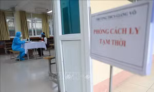 Ngày 23/1, Việt Nam thêm 14.978 ca mắc mới COVID-19, trong đó TP Hồ Chí Minh có 138 ca