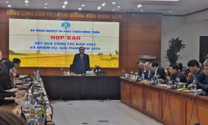 Xuất khẩu nông lâm thủy sản năm 2024 hướng đến mục tiêu 55 tỷ USD