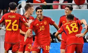 World Cup 2026: Cuộc đọ sức giữa hào quang và khát vọng