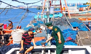 Tập trung tháo gỡ khó khăn cho tàu cá ‘3 không’