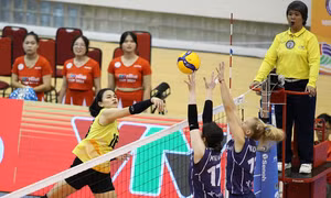 VTV Cup 2024: Đánh bại Paint Master, Việt Nam vào tứ kết