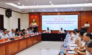 Nhiều địa phương 'bỏ ngỏ' việc quản lý chống khai thác hải sản bất hợp pháp