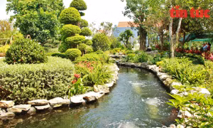 Bất ngờ mô hình điểm check-in, quán cafe, thư viện bên hồ sinh thái của khu công nghiệp