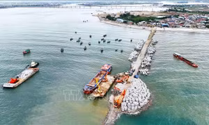 Hiện đại hóa hệ thống cảng cá, khu neo đậu tránh trú bão cho tàu cá