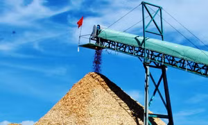 Phục hồi ngành gỗ trong trạng thái bình thường mới